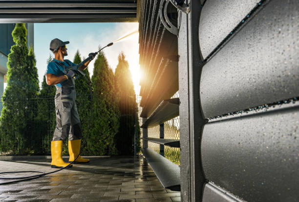 Best Gutter Cleaning  in Ellington, MO